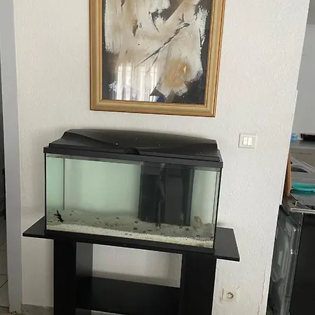 Jolie Pavillon וילה